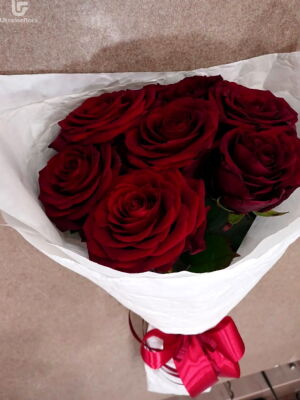 7 Red Roses Delivery Photo Ukraine 4