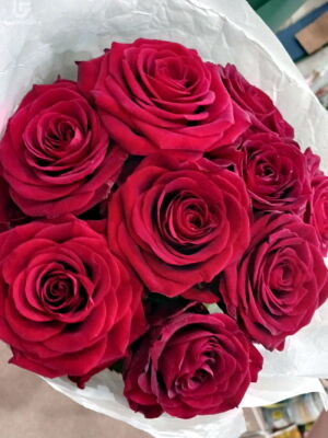 9 Червоних Троянд фото доставки Україна 20