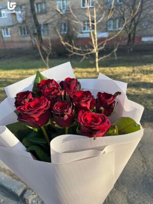9 Червоних Троянд фото доставки Україна 24