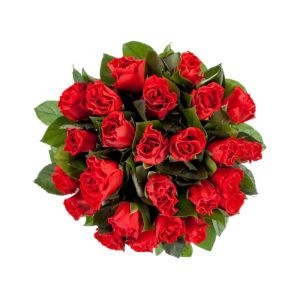 19 Premium Red Roses Ukraine 2