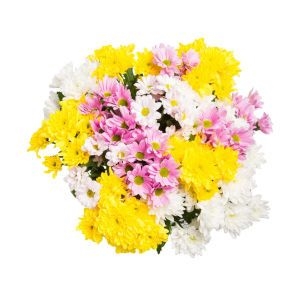 Радуга из хризантем фото 2