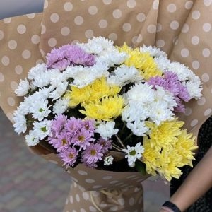 Радуга из хризантем фото 3