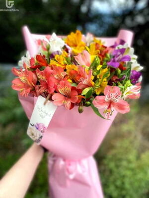 Елегантні Зірки фото доставки Україна 1