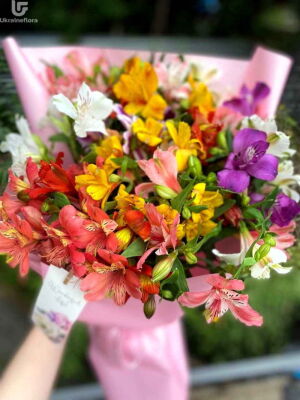 Елегантні Зірки фото доставки Україна 2