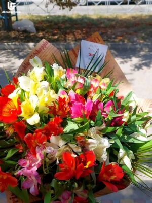 Елегантні Зірки фото доставки Україна 5