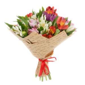 Елегантні Зірки фото 2