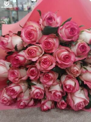 29 Pink Roses Photo Delivery Ukraine 2