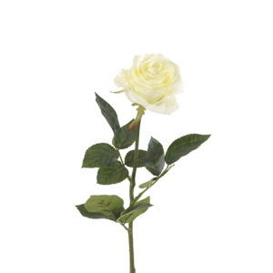 Біла троянда (шт.) фото 2
