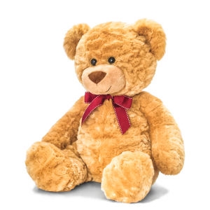 Online teddy best sale bear delivery