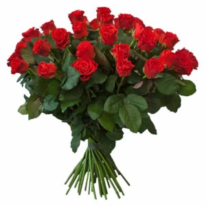 39 Red Roses photo