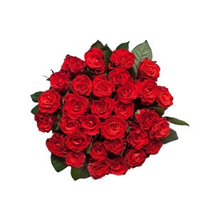 send 39 red roses