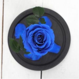 Вечная синяя роза фото 2