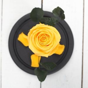Eternal Yellow Rose photo 2