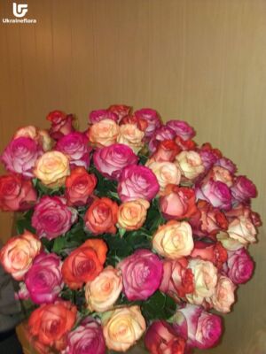 35 Розовых Роз фото доставки Украина 1