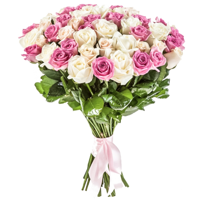 51 Pink White Roses Bouquet | Roses Delivery in Kiev, Odesa, Kharkiv ...