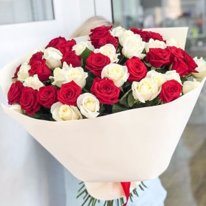 35 Red White Roses real photo