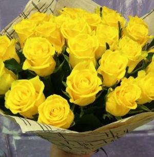 yellow rose picture