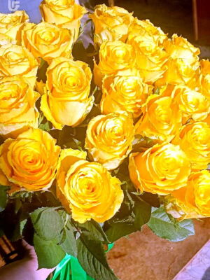 21 Yellow Roses Photo Delivery Ukraine 2
