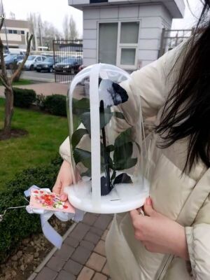 Вечная черная роза доставка