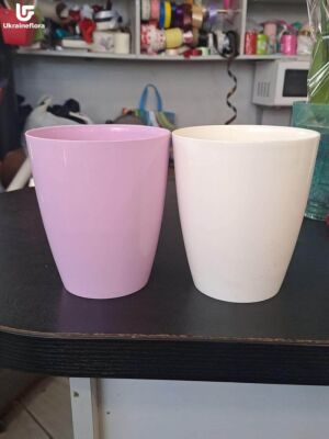 Flowerpot for Orchid Delivery photo Ukraine 2