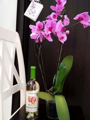 Біле вино (укр) фото доставки Україна 1