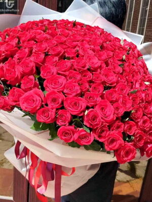 203 Red Roses Photo Delivery Ukraine 1