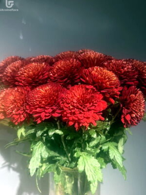 Red Florist Photo Delivery Ukraine 1