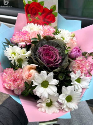 Нет перевода