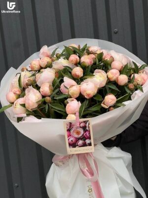 45 Peony Bouquet Delivery Photo 1