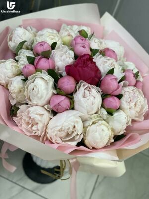 25 Пионов Доставка Фото Украина