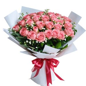 25 Рожевих Троянд фото