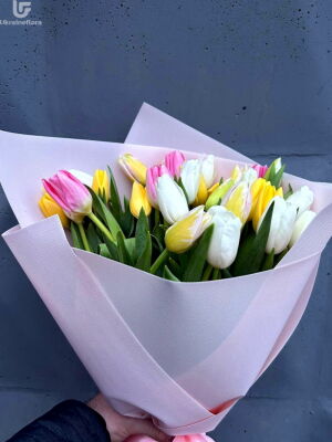 Rainbow Delight Photo Delivery Ukraine 3