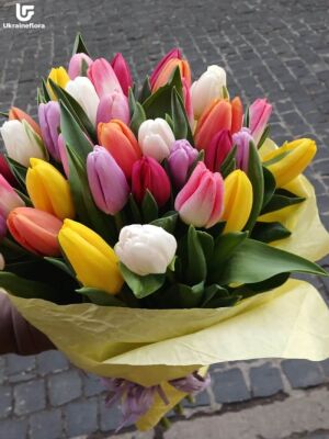 Rainbow Delight Photo Delivery Ukraine 4