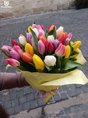 Rainbow Delight Photo Delivery Ukraine 5