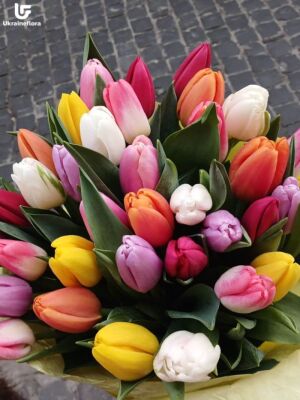 Rainbow Delight Photo Delivery Ukraine 6