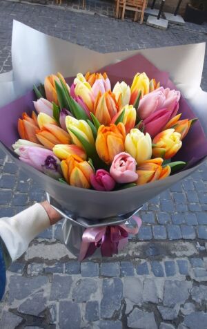 Tulips Bright Mixed photo 3