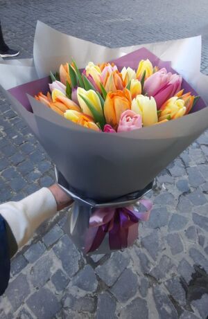 Tulips Bright Mixed photo 5