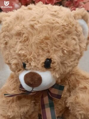 White Hugs Bear Delivery Photo Ukraine 4